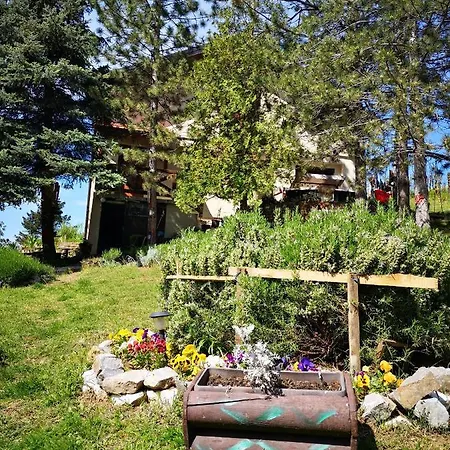 Snezana Jugovo * Smederevo