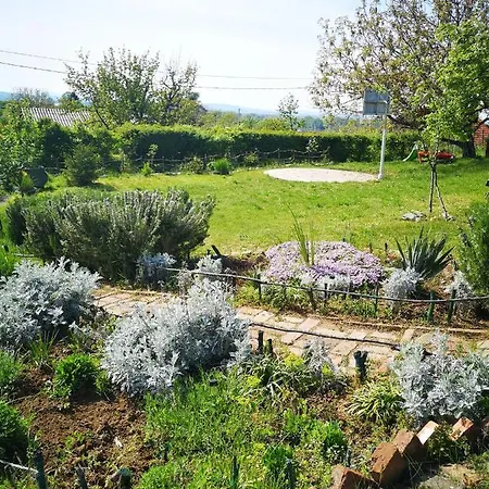 Snezana Jugovo * Smederevo