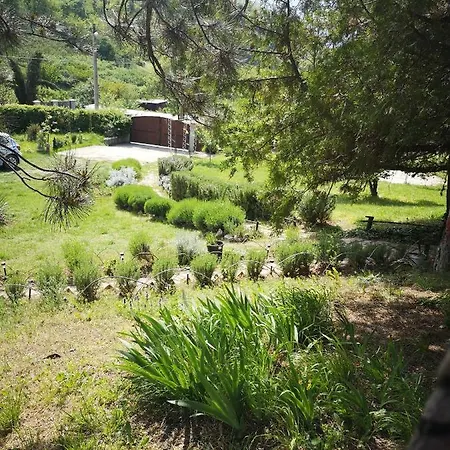 Snezana Jugovo 아파트 스메데레보