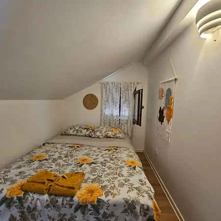 Apartment Snezana Jugovo