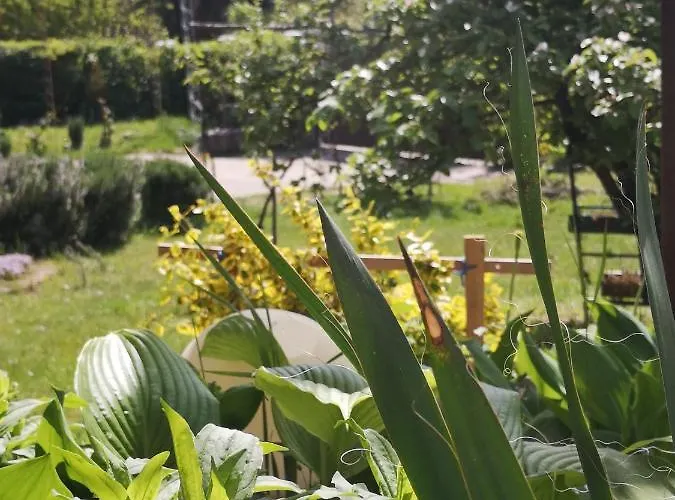 Apartament Snezana Jugovo