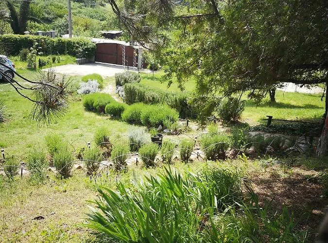 Snezana Jugovo Apartament Smederevo